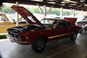 MUSTANG